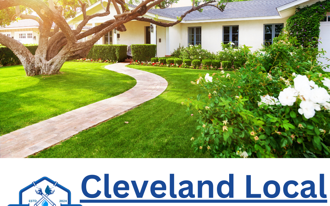 Low-Cost Landscaping Highlights Your Home